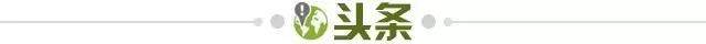 【早报】国足带你学地理之东帝汶篇！